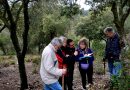 10-02-2024 Recollida del Pessebre
