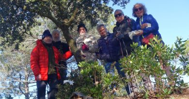 14-12-2024 El pessebre a Collserola