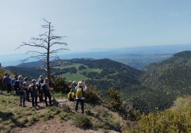GR1 ETAPA 14B. Túnel del Capolat – Pont de Llinars. (18-05-2025)