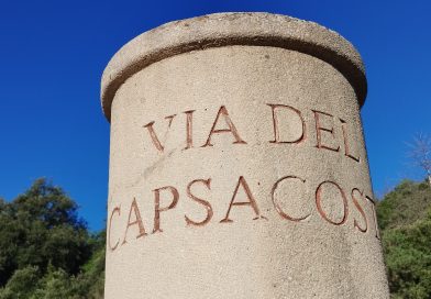 11-10-2025 PAISATGES VISCUTS. Via Romana Capsacosta.