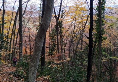 6, 7 i 8 de desembre de 2025. Dones i 3000, 100 Cims “Alta Garrotxa””,