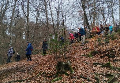 01-02-2026 Guiatge NATURTRESC des de Cantonigròs a L’Esquirol per la Foradada.