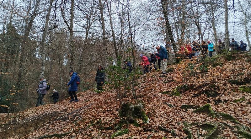 01-02-2026 Guiatge NATURTRESC des de Cantonigròs a L’Esquirol per la Foradada.