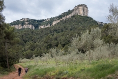 El Figaro - Aiguafreda
