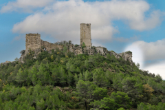 Castell de Saburella